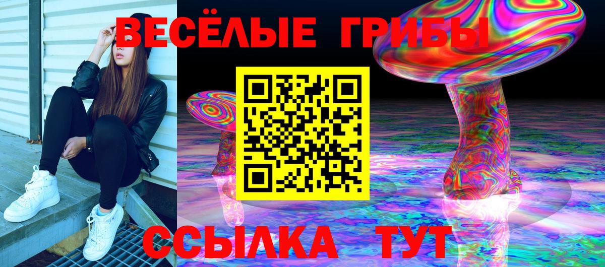 Галлюциногенные грибы MAGIC MUSHROOMS  Вход с VPN  Гатчина 